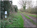 Track to Fundenhall Wood in NR16 1HD