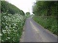 Gordon's Lane near Lillington in DT9 6EW