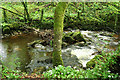 Yealmpton: the river Yealm in PL8 2JR