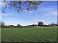View NE across fields towards All Saints' Church, Nazeing in EN9 2RJ