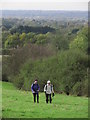 Walking towards All Saints' Church, Nazeing. View towards Lee Valley in EN9 2DN