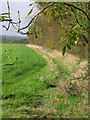 Field path, southern edge of Roydon Park, Essex in CM19 5JA