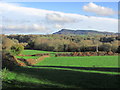 View towards Bosley Cloud from A536 , S of Eaton near Congleton in CW12 2AX
