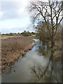 River Meese upstream of Tibberton in TF10 8PZ