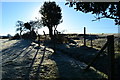 Sunlight and frost on path at Dilton Farm in SO42 7QN