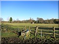Fields near Peasemore in RG20 7DF