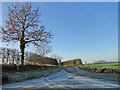Frosty road near Gatehouse Farm in Salle