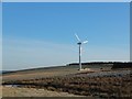 Dingwall Wind Co-op Turbine now in operation in IV15 9TG