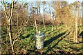 Brazier in the Orchard in RG9 4PU