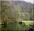 River Manifold near Ilam Hall in DE6 2AZ