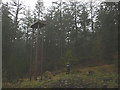 'Torment of the Metals', a sculpture at Grizedale Forest in LA22 0QN