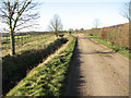Road through Redwings Horse Sanctuary in NR15 2AF