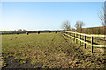 Paddock on Redwings Horse Sanctuary in NR15 2AF