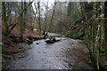 Alyth Burn in Den o' Alyth in PH11 8JD