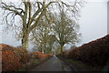 Lane to Rosemount, near Blairgowrie in PH10 6LT