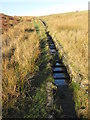 Stone gully beside a path near Trebanog in CF39 9LX