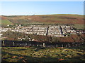Trealaw from Mynydd Dinas in CF40 1QT