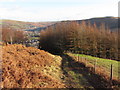 Path descending Mynydd Maendy in Pentre Community