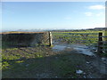 Waterlogged gateway & fields near Llanefydd in LL16 5EY