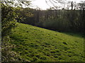 Field at Eastcott in EX20 4PG