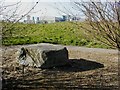 Erratic Boulder, Wilton in Dormanstown Ward