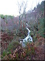 Falls on the burn coming out of Loch na Crann in IV14 9EL