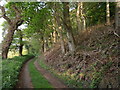 Footpath to Eastcott Beacon in EX20 4PG