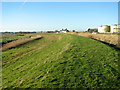The Wherryman's Way past the Cantley sugar factory in NR13 3ST