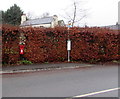 Postbox in a hedge, Llancloudy in HR2 8QN