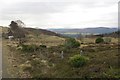 Corryfoyness /Coire Foithaneas in IV3 8LD