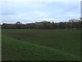 Lyme Valley Park: rugby pitch in ST5 3BZ