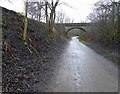 One of many bridges crossing the Monsal Trail in DE45 1NZ
