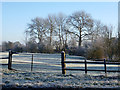 Frosty field in CM22 7AR