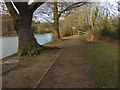 Path around Britten's Pond in GU3 3EL