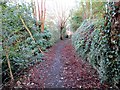 Llwybr Heol Glen Road Footpath in SA3 4TY