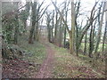 Footpath through the woods at Oxcroft in S44 6AS