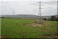 Pylons viewed from Carnego Lane in TR8 5YB