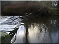 Weir across River Aire at Castlefields, Bingley in BD16 2AF