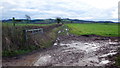 Muddy footpath to Hill End in HR1 3SG