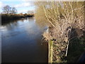 Barbourne brook joins the Severn in WR1 3EZ