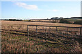 Fields near Ovenstone in DD8 2JQ
