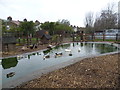 The duck pond at Brooks Farm in E10 7BH