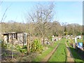 Pikes Hill, allotments in SO43 7AY