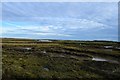 Saltings and Havengore Creek in SS3 0DJ