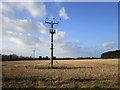 Electricity poles in a stubble field in DN9 3AS