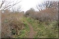 Coast path, Longniddry in EH32 0NX