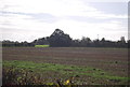Farmland by Colegate Lane in NR20 3PJ