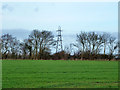 Pylon beyond a hedge in CB10 2QG