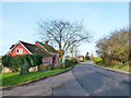 Road towards Bran End, Stebbing in Stebbing
