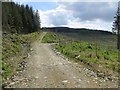Logging roads, Tullichuil Wood in PH15 2EY